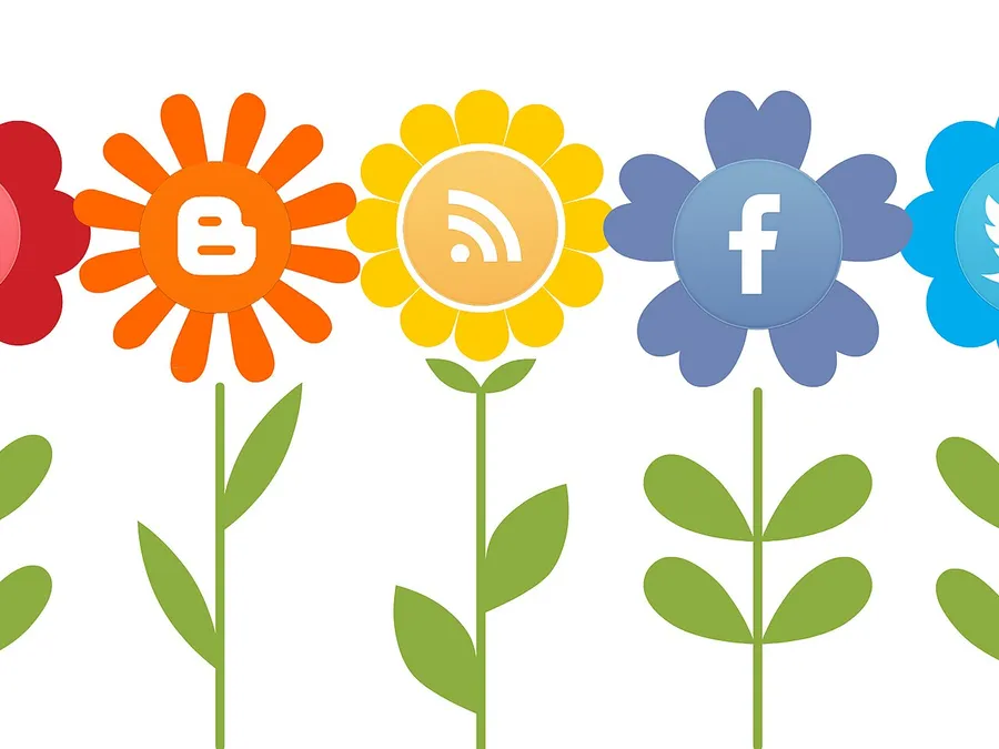 SEO / Digital Marketing