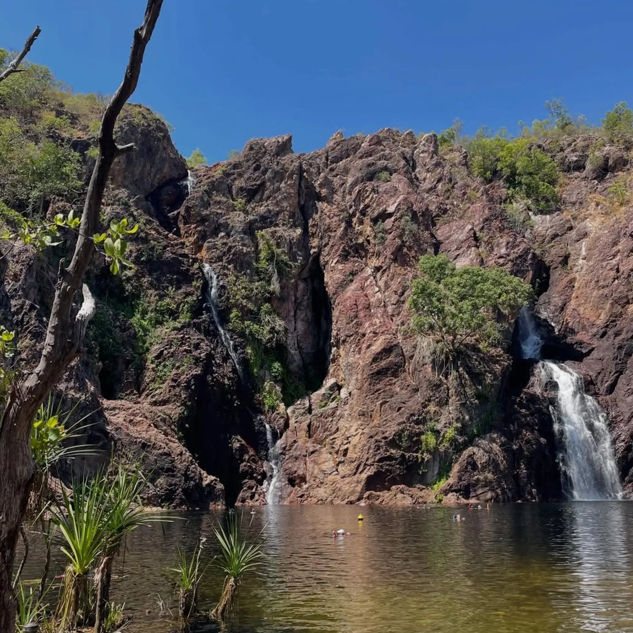 litchfield national park waterfalls swimming area