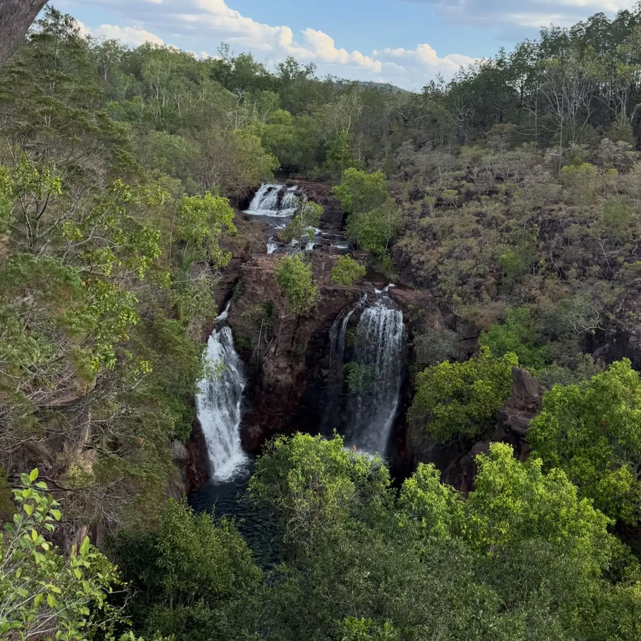 waterfalls in litchfield national park