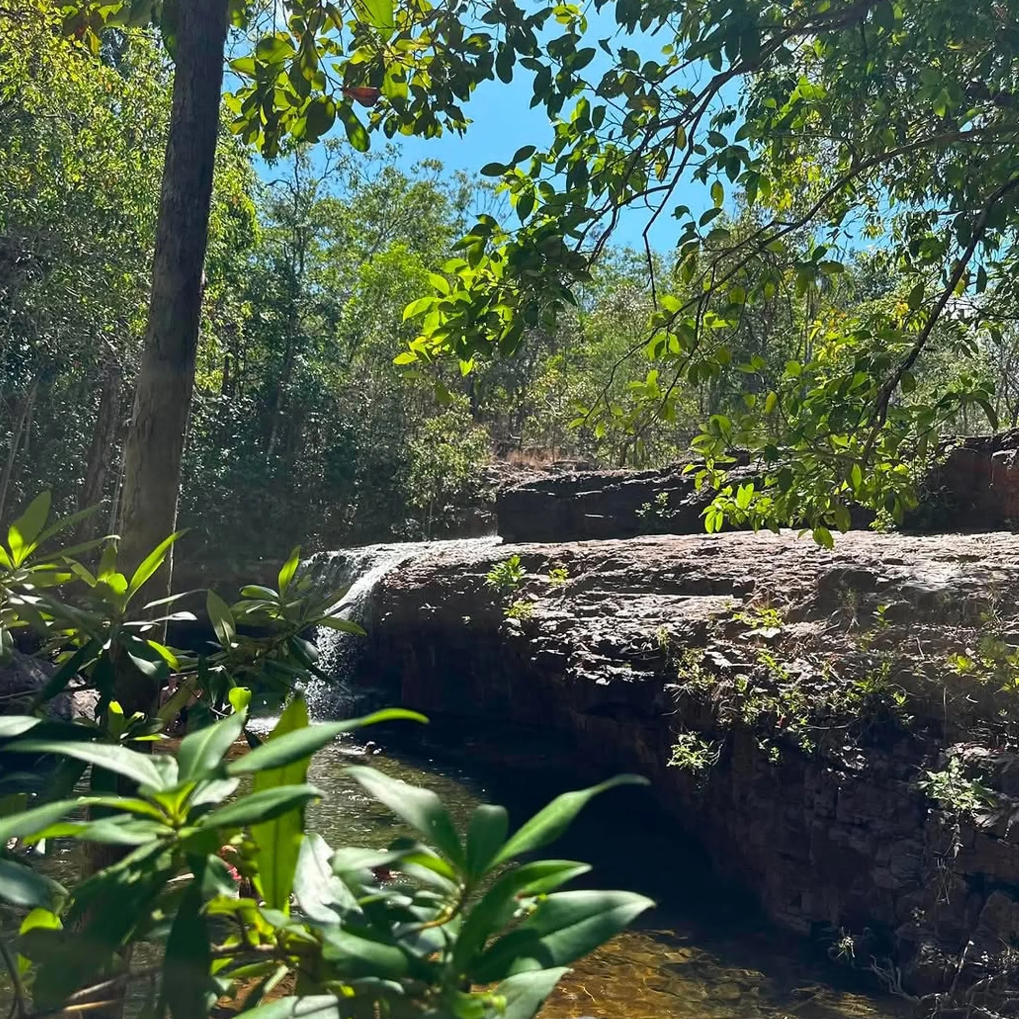 litchfield national park natural landscape